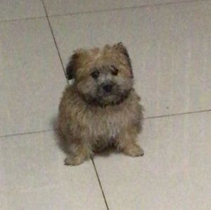 Meet your Posher, Milla